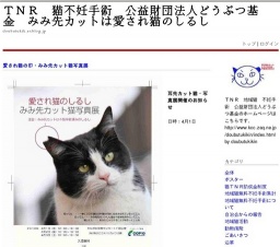 愛され猫のしるし♥みみ先カット猫写真展