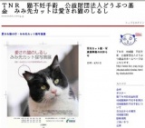 愛され猫のしるし♥みみ先カット猫写真展