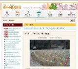 春一番 「かざぐるま」が舞う風街道