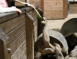 アクア・トトのゴールデンウィーク