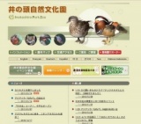 カワネズミを展示しました