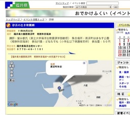 砂浜の生き物観察