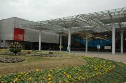 テーマ別自然観察会「街のキノコ」