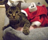 山猫庵オープンハウス　クリスマスチャリティバザー