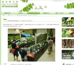 沖縄の絶滅危惧植物展 〜小さな島々の大きな宝〜