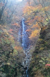 八ツ場まるごと自然体験ツアー~紅葉の吾妻渓谷ネイチャーウォーキング