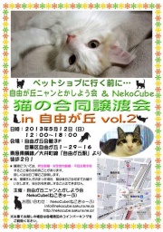 猫の譲渡会