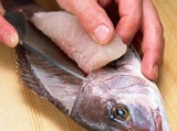 築地のプロが教えます！　お魚の選び方とさばき方教室　～　☆初心者限定☆　とにかく魚をさばい...