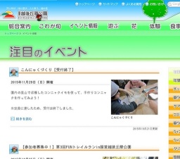 ウインターイルミネーション