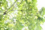 東京投資「金持ち父さん」勉強会（朝活・休活） - 新宿でお金と投資を学ぶ東京投資スタイル！