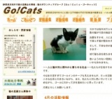 子猫・若猫譲る会