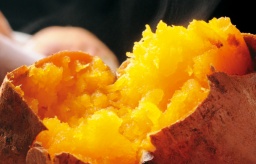 10月23日（日）讃友会！秋の焼き芋パーティ！