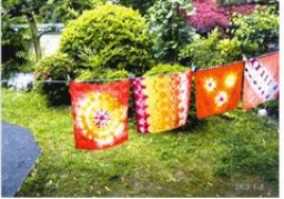 明日香村体験プログラム「もえぎ色の明日香で草木染め体験」 明日香村のイベント