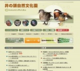 佐渡からやってきたテン