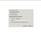 「ブーゲンビレア展」開催！