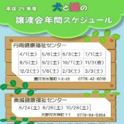 犬と猫の譲渡会