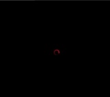 TOO YOUNG TO DIE! 若くして死ぬ 公開