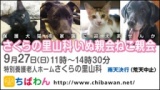 保護犬・保護猫を家族に迎える譲渡会「ちばわん　さくらの里山科いぬ親会・ねこ親会」