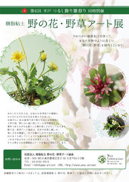 樹脂粘土 野の花・野草アート展