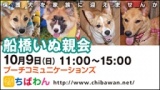 ちばわん『船橋いぬ親会】開催のご案内