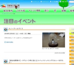 ペットボトルでイルミネーションを飾ろう！