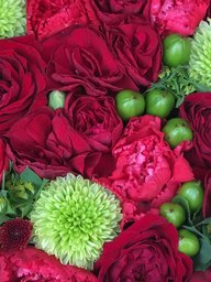 『サイエンスりーでぃんぐ』でステキな『ご縁』つくり