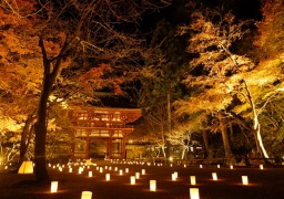 室生寺 国宝五重塔と紅葉ライトアップ