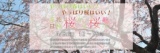 【4/8(日)開催】<京花日和　桜から桜へ～京都御所から二条城～>　桜満開の京都でお花見ツアー！...