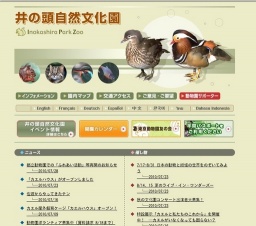 都立動物園での「ふれあい活動」等再開のお知らせ