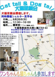 犬猫の里親探し譲渡会＆シェルター見学会