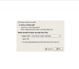 あなたのお隣は大丈夫？２～高齢者と猫との暮らしをささえるために～