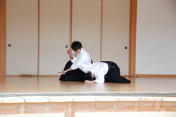 貫汪館　広島護国神社奉納演武会