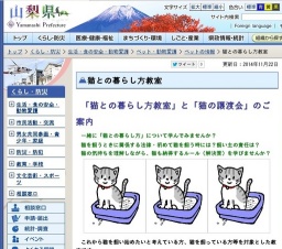 「猫との暮らし方教室」と「猫の譲渡会」