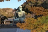【ミドルエイジ対象】 大人の鎌倉散策（鎌倉） ～古都で季節を感じるスローな旅～