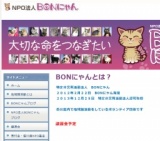BONにゃん譲渡会