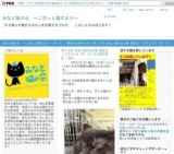 12月23日(祝・水)猫の譲渡会 みなと猫の会