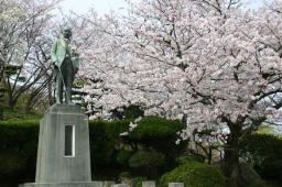 4月3日（日）讃友会！桜まつり観賞会