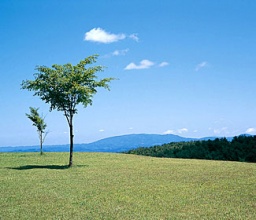 20:00-22:00『使い物にならないビジネスマンを卒業し、副業で実力をつける』