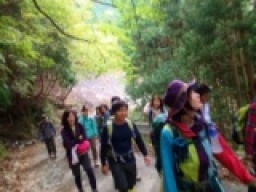 【週末アウトドア　自然たっぷり♪ライトトレッキングツアー】社会人サークルFEAD