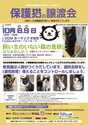 保護猫の譲渡会