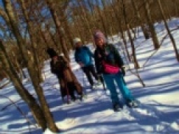 【平日アウトドア　富士山スノーシュートレッキング】社会人サークルFEAD