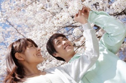 3月26日（日）11:30～開催　❤30代中心の花見de友恋ステーキBBQ❤IN浜寺公園