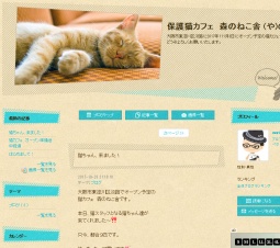 保護猫カフェ森のねこ舎OPEN