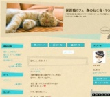 保護猫カフェ森のねこ舎OPEN