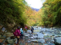 【週末アウトドア　自然たっぷり♪ライトトレッキングツアー】社会人サークルFEAD