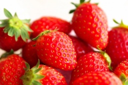 バレンタインスペシャル！都筑産イチゴプレゼント | ハウスクエア横浜