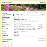 透明樹脂粘土でトンボ玉を作ろう