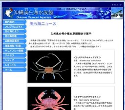久米島の希少種を期間限定で展示