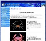 久米島の希少種を期間限定で展示