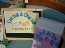 東葛地区猫犬譲渡会